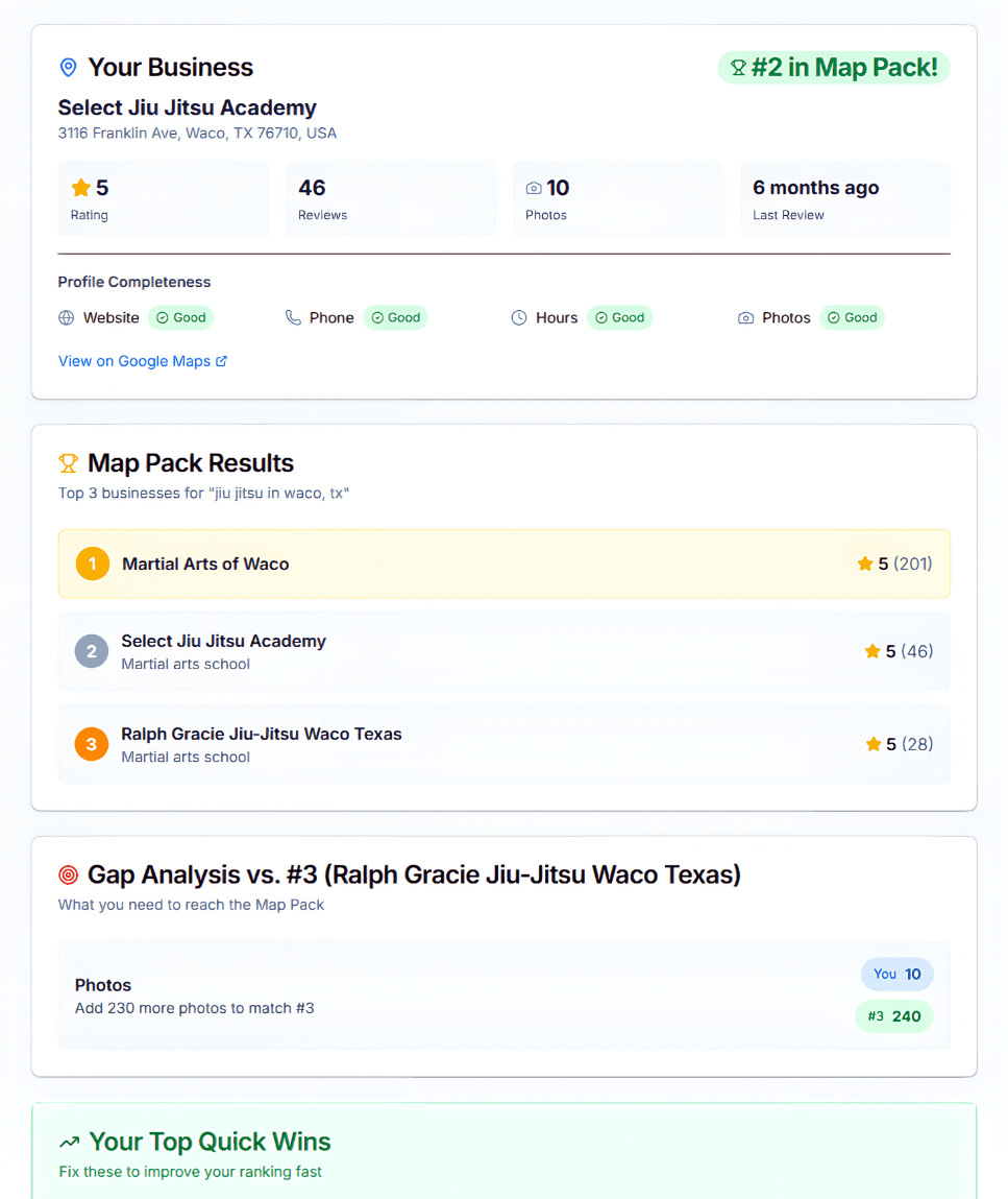 Google Visibility Audit results showing how a business looks on Google
